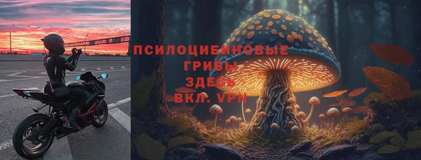 Альфа ПВП Баксан